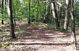 Teren intravilan 3387 mp, zona Faget, pentru agrement!