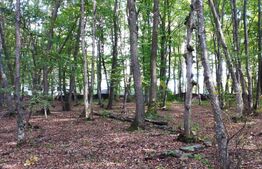 Teren intravilan 3387 mp, zona Faget, pentru agrement!