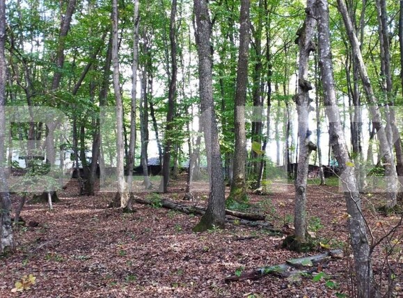 Teren de vânzare Făget - 143706TV | BLITZ Cluj-Napoca | Poza1