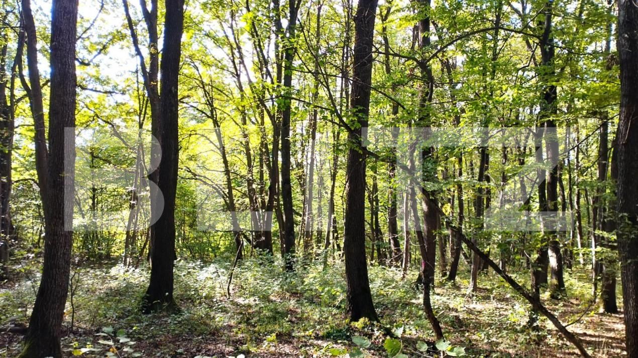 Teren de vânzare Făget - 143706TV | BLITZ Cluj-Napoca | Poza3