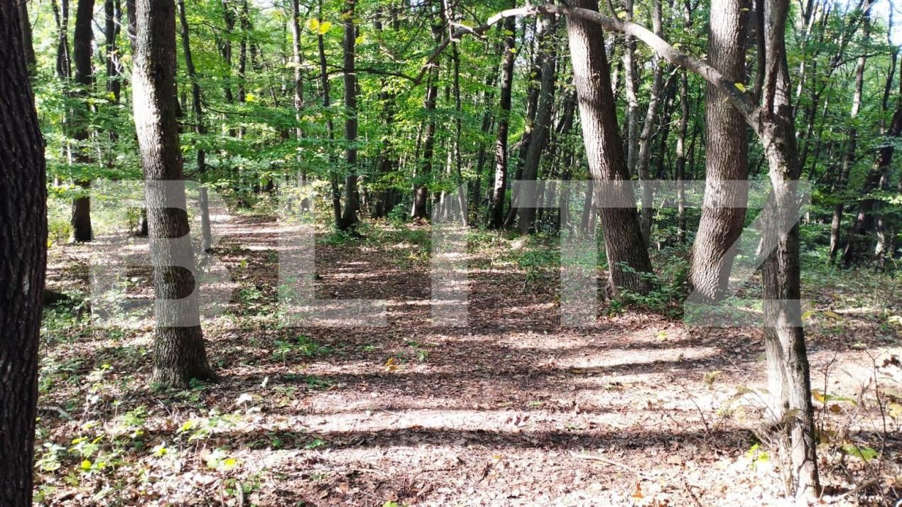 Teren de vânzare Făget - 143706TV | BLITZ Cluj-Napoca | Poza2