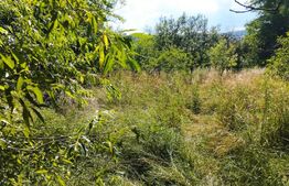  Teren 1506 mp, zona Oasului