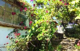  Teren 1506 mp, zona Oasului