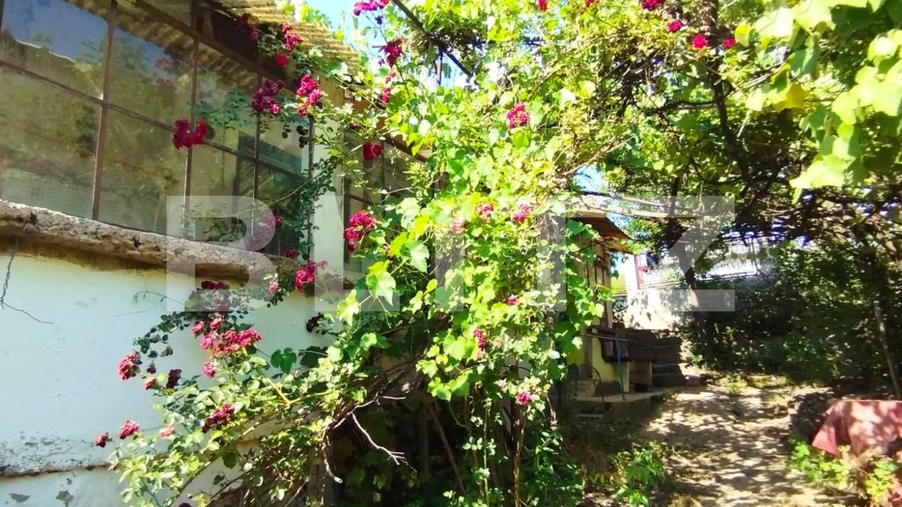 Teren de vânzare Iris - 143708TV | BLITZ Cluj-Napoca | Poza5