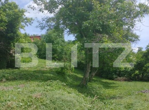 Casa de vânzare 2 camere Baciu - 143716CV | BLITZ Cluj-Napoca | Poza3