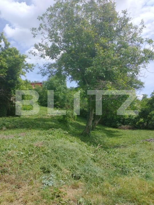 Casa de vânzare 2 camere Baciu - 143716CV | BLITZ Cluj-Napoca | Poza3