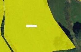 Teren intravilan 7783mp, Marisel, zona partiei de ski