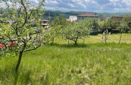 Investitie ! Teren intravilan,494 mp, front 14 m,cart Dâmbul Rotund-Lombului   !