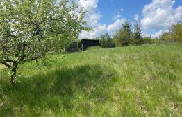 Oferta! Teren intravilan, 494 mp, zona Lombului