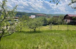 Oferta! Teren intravilan, PUZ in lucru, 494 mp, zona Lombului