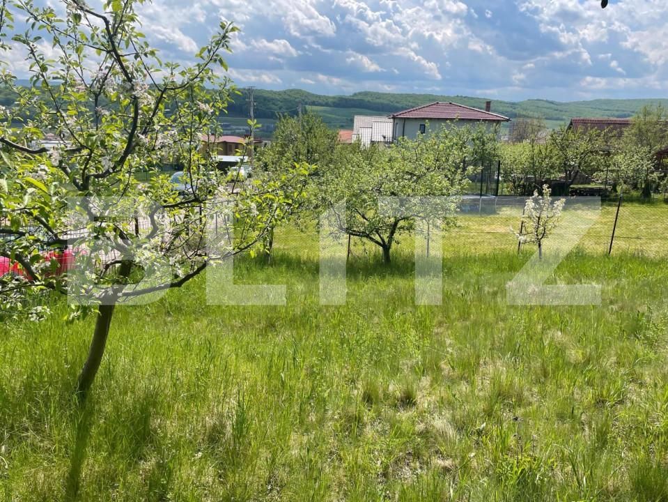 Teren de vânzare Dambul Rotund - 143718TV | BLITZ Cluj-Napoca | Poza5