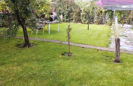 Teren construibil 351 mp, pentru casa individuala, Gruia