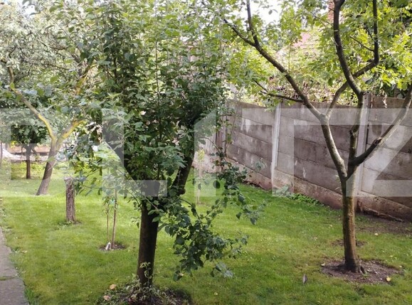 Teren de vânzare Gruia - 143720TV | BLITZ Cluj-Napoca | Poza2