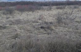 Teren de vanzare la iesire din Rascruci -Bontida, 3 parcele 11641 mp