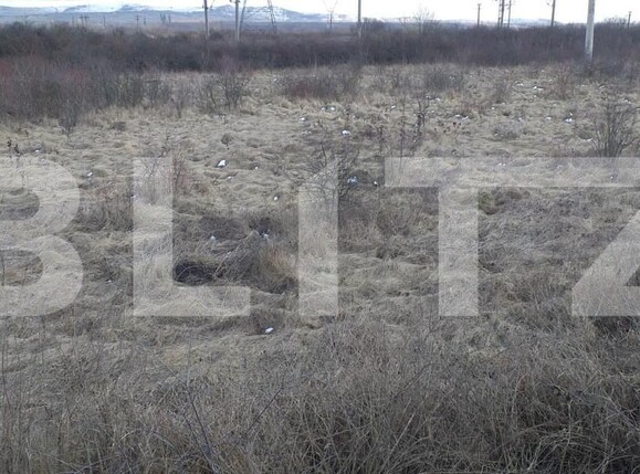 Teren de vânzare Exterior Est - 143721TV | BLITZ Cluj-Napoca | Poza4