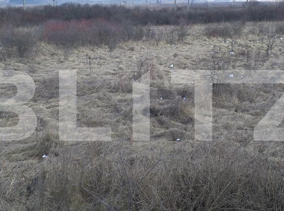Teren de vânzare Exterior Est - 143721TV | BLITZ Cluj-Napoca | Poza3