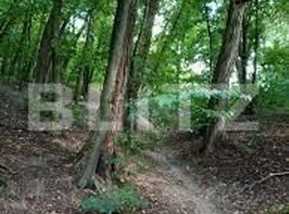 Teren de vânzare Exterior Est - 143722TV | BLITZ Cluj-Napoca | Poza1