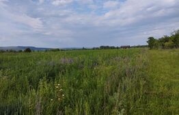 Teren intravilan 400 mp, in Masterplan Sopor!