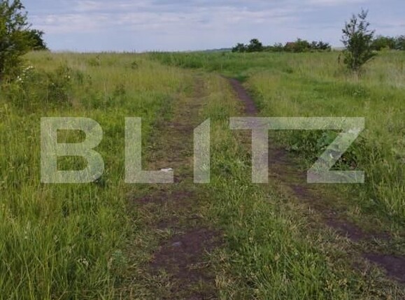 Teren de vânzare Sopor - 143725TV | BLITZ Cluj-Napoca | Poza4