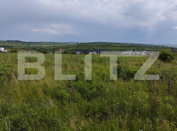 Teren de vânzare Sopor - 143725TV | BLITZ Cluj-Napoca | Poza1