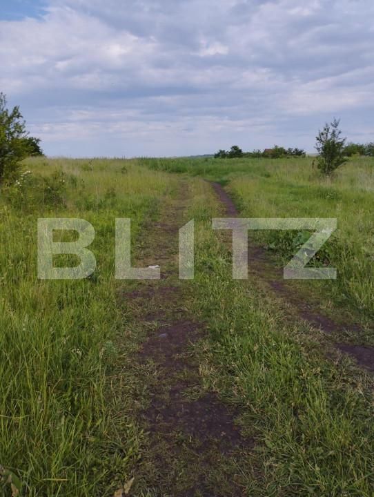 Teren de vânzare Sopor - 143725TV | BLITZ Cluj-Napoca | Poza4