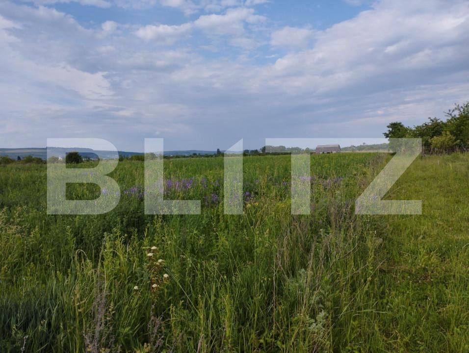 Teren de vânzare Sopor - 143725TV | BLITZ Cluj-Napoca | Poza3