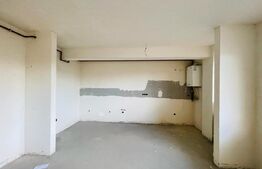 Apartament 1 camera, 48mp, semifinisat, zona Terra 