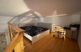 Apartament 2 camere, 75 mp, pet friendly, zona Memorandumului