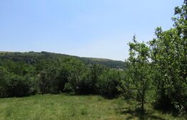 Teren extravilan in Baciu, 2700 mp, front stradal 25 ml, zona linistita de case si vile