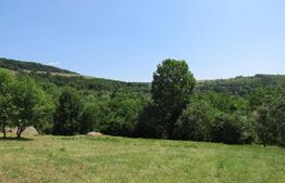 Teren extravilan in Baciu, 2700 mp, front stradal 25 ml, zona linistita de case si vile