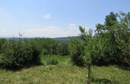 Teren extravilan in Baciu, 2700 mp, front stradal 25 ml, zona linistita de case si vile