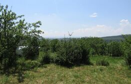 Teren extravilan in Baciu, 2700 mp, front stradal 25 ml, zona linistita de case si vile