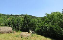 Teren extravilan in Baciu, 2700 mp, front stradal 25 ml, zona linistita de case si vile