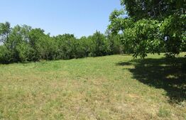 Teren extravilan in Baciu, 2700 mp, front stradal 25 ml, zona linistita de case si vile