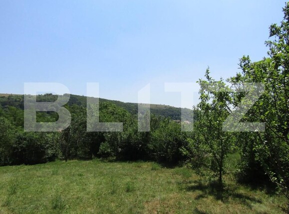 Teren de vânzare Baciu - 143784TV | BLITZ Cluj-Napoca | Poza2