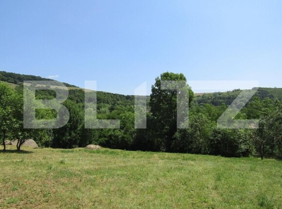 Teren de vânzare Baciu - 143784TV | BLITZ Cluj-Napoca | Poza3