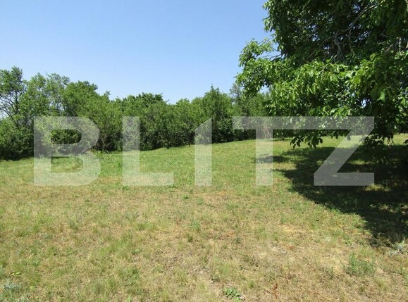 Teren de vânzare Baciu - 143784TV | BLITZ Cluj-Napoca | Poza1