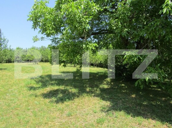 Teren de vânzare Baciu - 143784TV | BLITZ Cluj-Napoca | Poza9