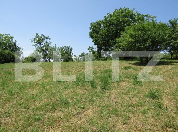 Teren de vânzare Baciu - 143784TV | BLITZ Cluj-Napoca | Poza7