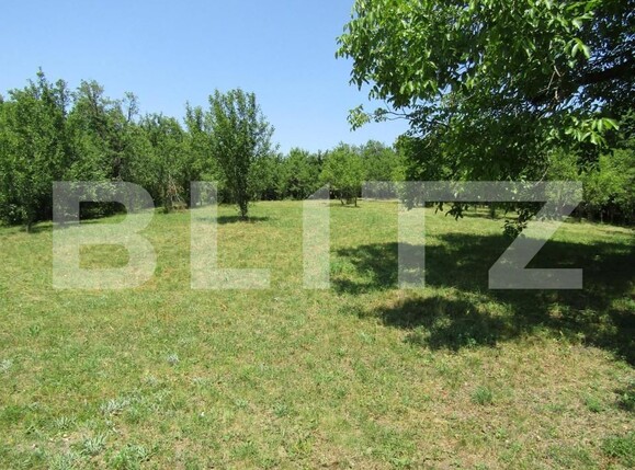 Teren de vânzare Baciu - 143784TV | BLITZ Cluj-Napoca | Poza8