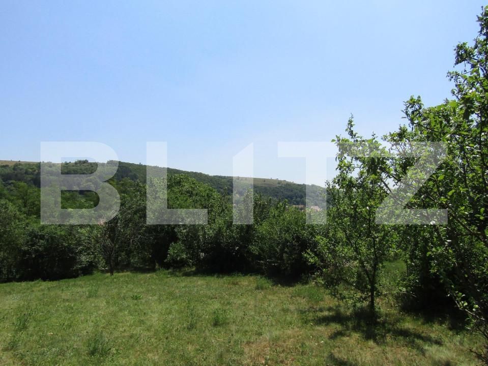 Teren de vânzare Baciu - 143784TV | BLITZ Cluj-Napoca | Poza2