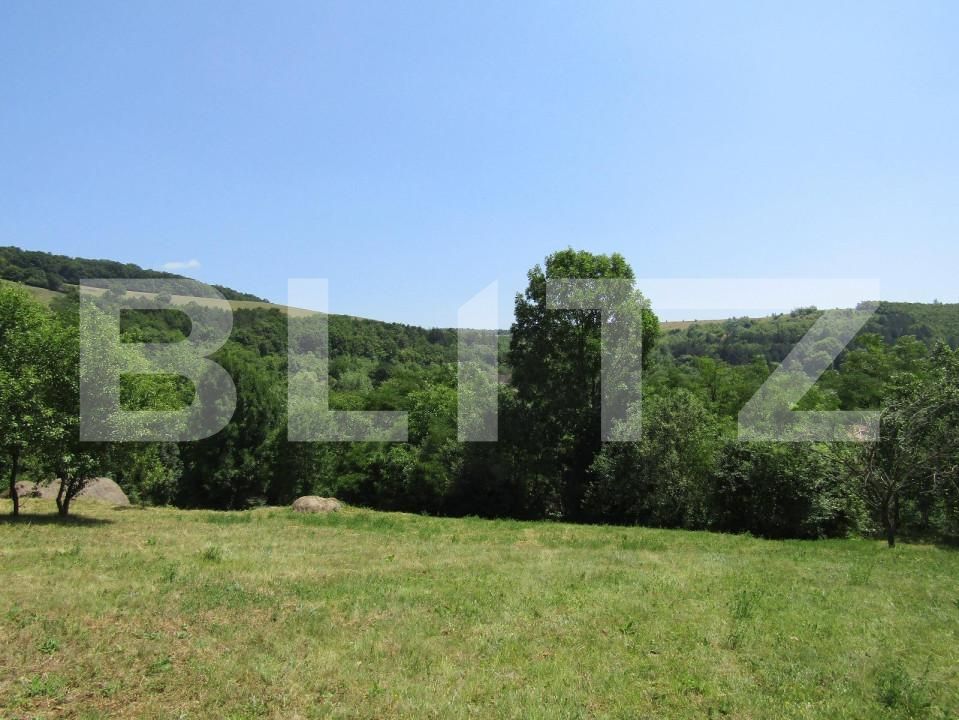 Teren de vânzare Baciu - 143784TV | BLITZ Cluj-Napoca | Poza3