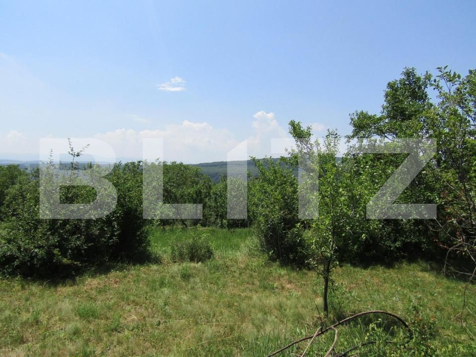 Teren de vânzare Baciu - 143784TV | BLITZ Cluj-Napoca | Poza6