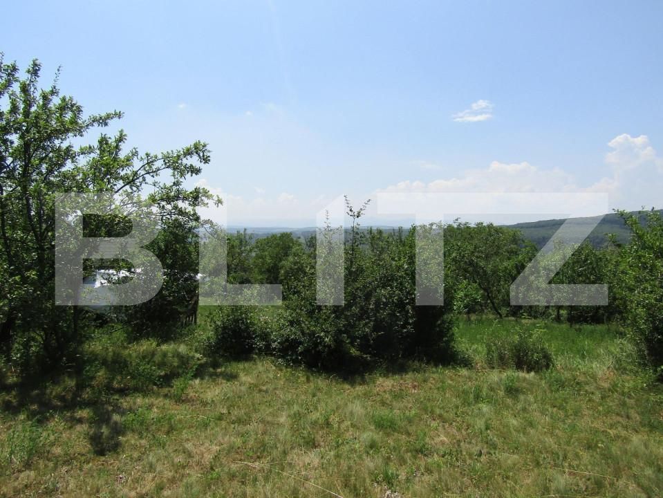 Teren de vânzare Baciu - 143784TV | BLITZ Cluj-Napoca | Poza5