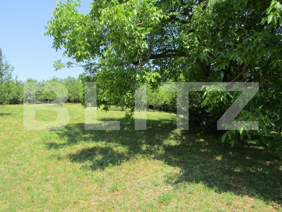 Teren de vânzare Baciu - 143784TV | BLITZ Cluj-Napoca | Poza9