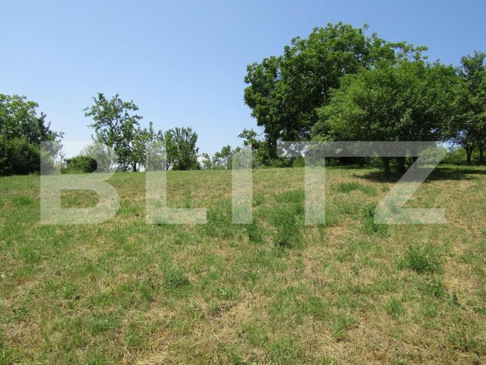 Teren de vânzare Baciu - 143784TV | BLITZ Cluj-Napoca | Poza7