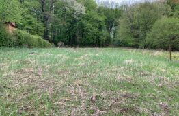 Teren intravilan, 2072 mp, in Faget