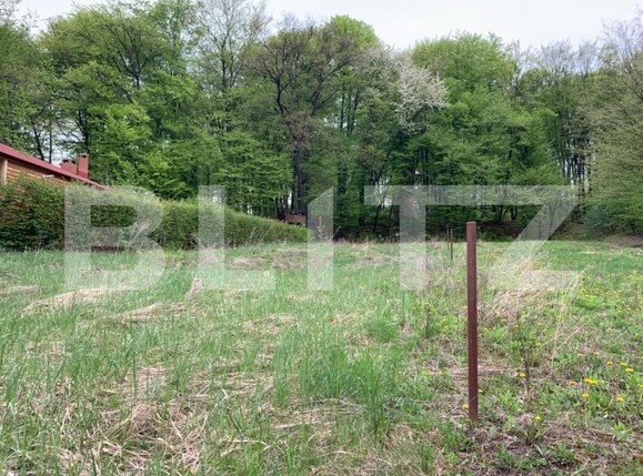 Teren de vânzare Făget - 143790TV | BLITZ Cluj-Napoca | Poza2