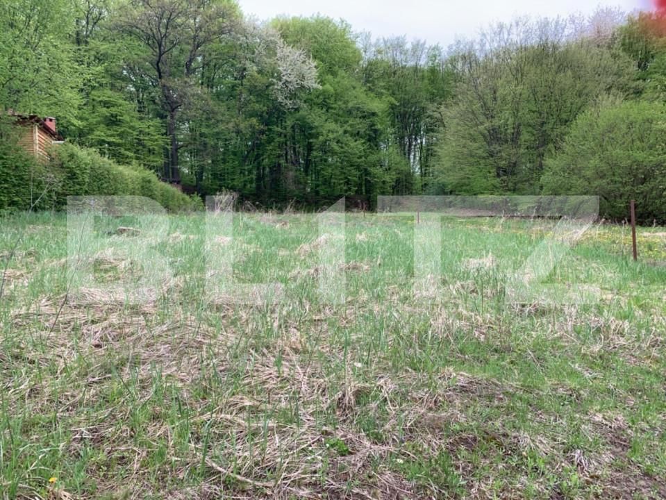 Teren de vânzare Făget - 143790TV | BLITZ Cluj-Napoca | Poza3