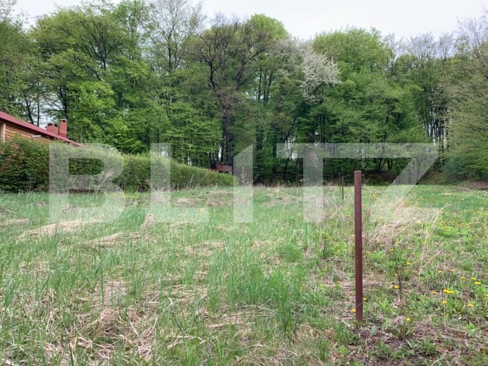 Teren de vânzare Făget - 143790TV | BLITZ Cluj-Napoca | Poza2